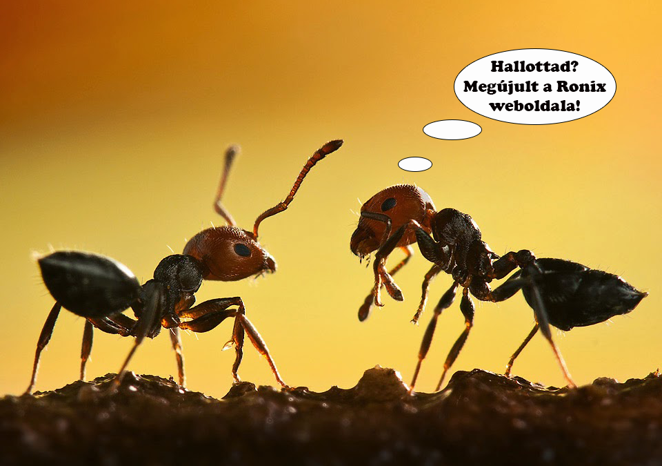 Megújult a Ronix honlapja!