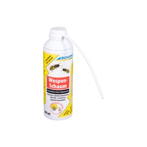 Wespen Schaum hab