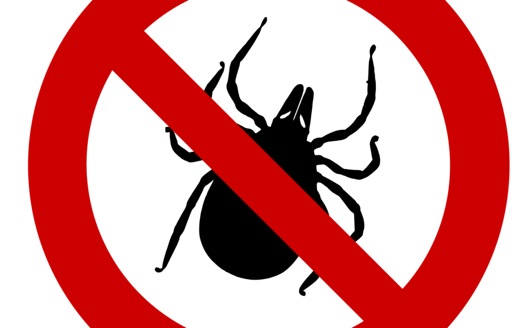 Kullancshelyzet