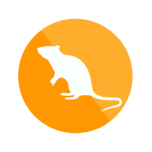 Patkányirtás, rágcsálóirtás