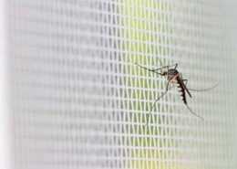 szúnyogirtás, rovarirtás, szúnyoggyérítés