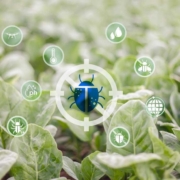 irtószermentes védekezés