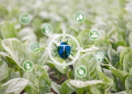 irtószermentes védekezés