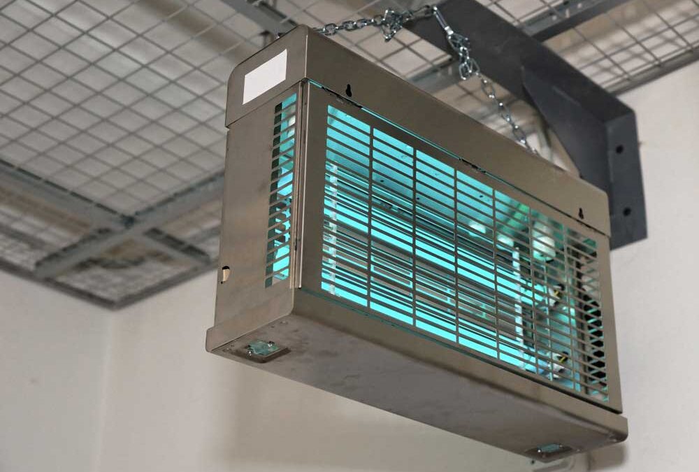 Így hozza ki a maximumot az elektromos rovarcsapdából