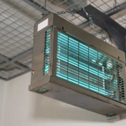 elektromos rovarcsapda