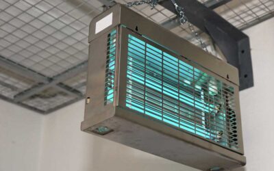 Így hozza ki a maximumot az elektromos rovarcsapdából