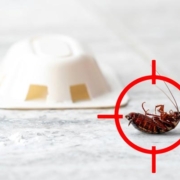 Kártevők elleni védekezés