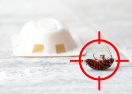 Kártevők elleni védekezés