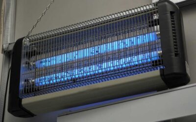 Repülő rovarok ellen profi fegyverrel: az elektromos csapdák