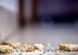 hangyairtás, kártevőirtás