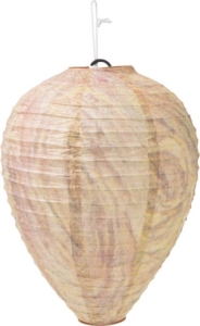 Mi a darázsirtás legcélszerűbb módja?